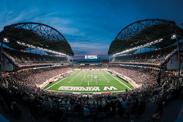 动调整以应 动调整以应