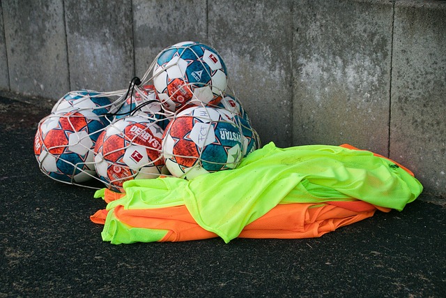 林詩棟在比 林詩棟在比