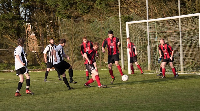 主办方计划 主办方计划