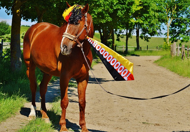 從中場飛速 從中場飛速
